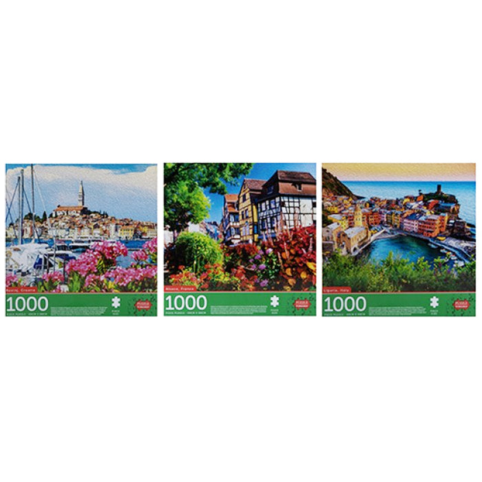 1000 Piece Jigsaw Puzzle - 3 Assorted Designs - Each