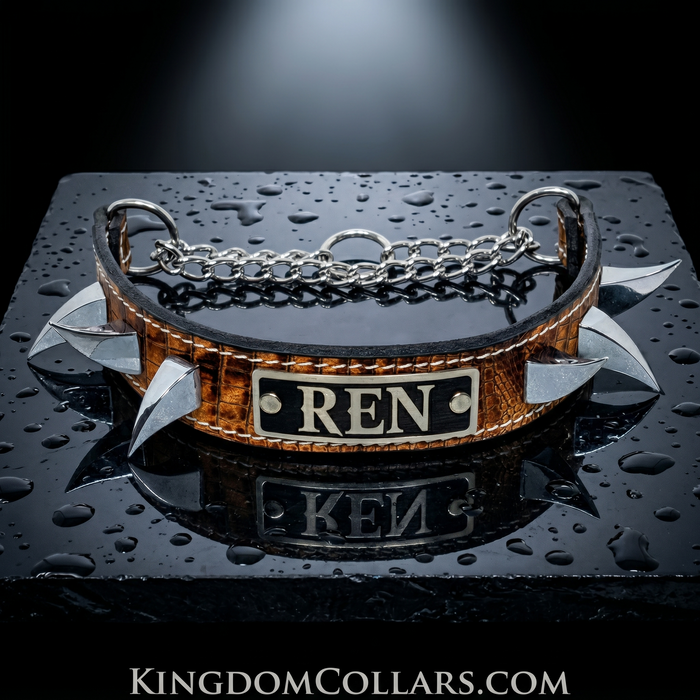 1.5" Wide Spiked Leather Martingale Dog Collar | Dragon Claw Spikes | Engraved Name Plate