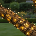 Warm White Fairy Lights Wrapped Around Tree in British Garden