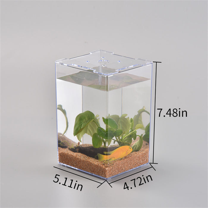 Acrylic Transparent Desktop Plastic Fish Tank