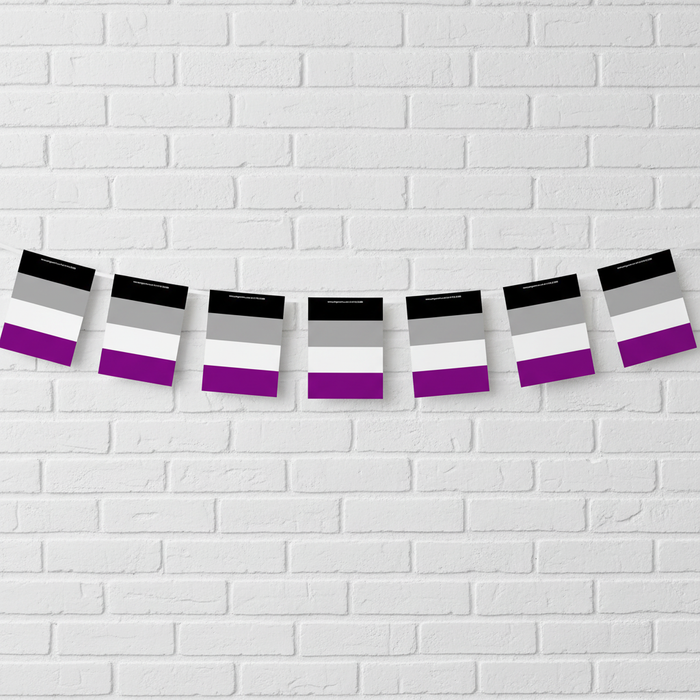 Asexual Pride Bunting Single Row White Brick Wall