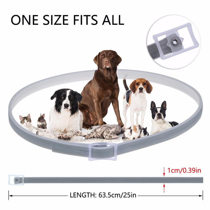 DEWEL Proguard + Flea and Tick Collar
