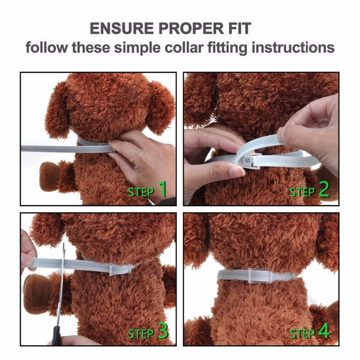 DEWEL Proguard + Flea and Tick Collar