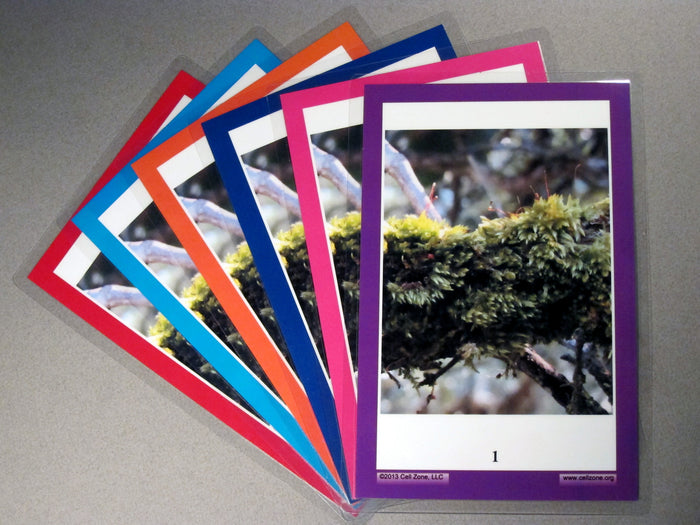 High School / College 6-group Diversity Kit.  Each student group gets the same images, but a different color background.
