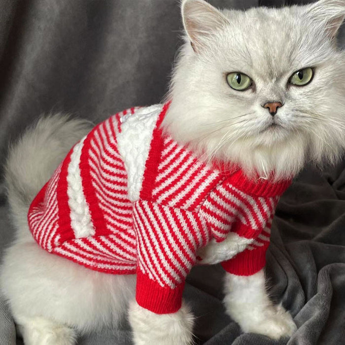 Double C Cat Sweater