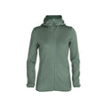 Elemental Ladies Hoody