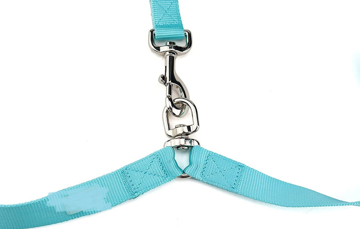 Explosion-Proof Double-Headed Dog Leash