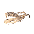 F-RAW-sted Cthulu Crutches (Squid Tentacles)