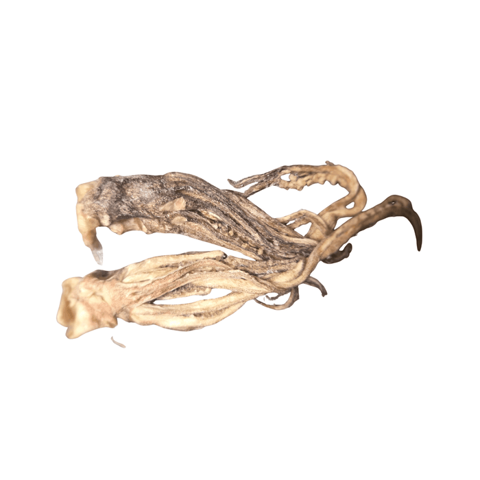 F-RAW-sted Cthulu Crutches (Squid Tentacles)