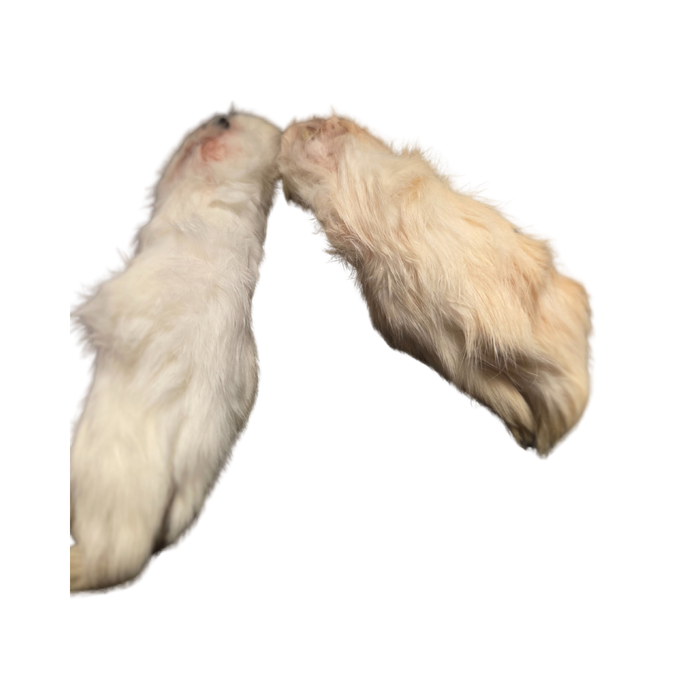 F-RAW-sted Hoppers