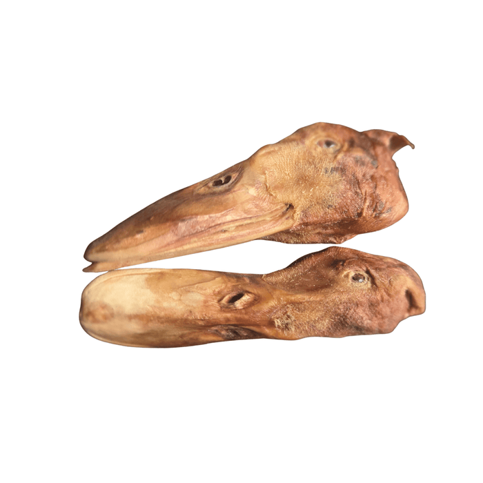 F-RAW-sted Quack Heads