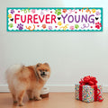 Furever Young Pet Banner - 120cm x 30cm