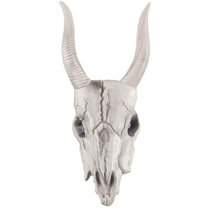 Goat Head Halloween Prop With Light Up LED Eyes - 41cm