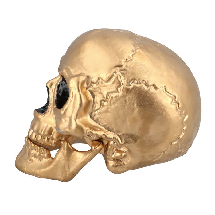 Gold Skull Prop Decoration – 24cm