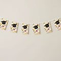Graduation Star and Swirls Paper Bunting Decoration - 2.4m