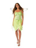 Green Fairy Costume