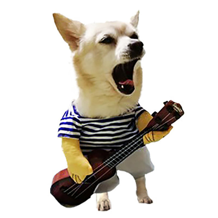 Guitarist / Medium