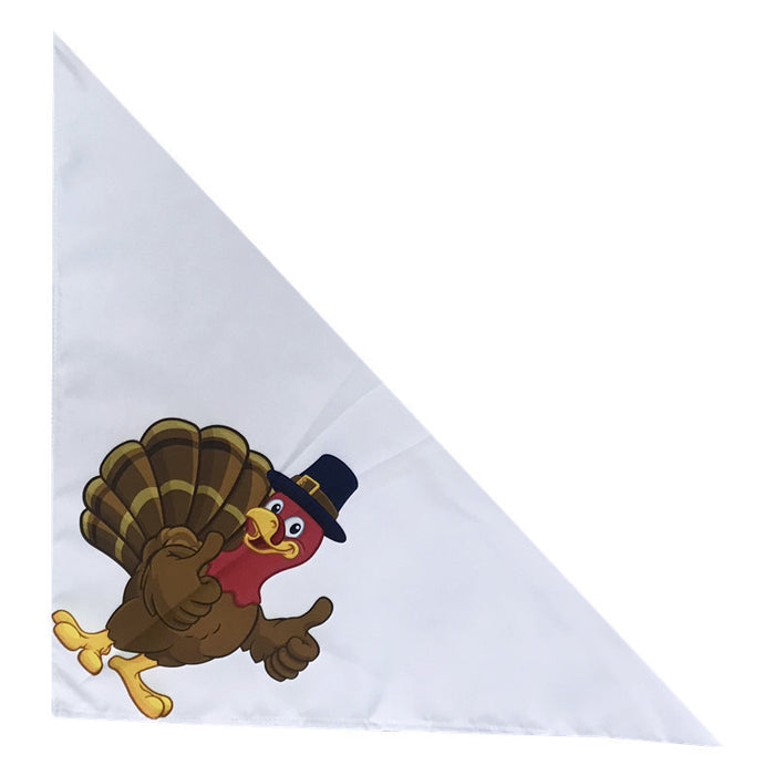 Thanksgiving Day (Turkey)