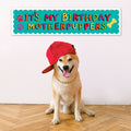 It's My Birthday Motherpuppers Banner - 120cm x 30cm