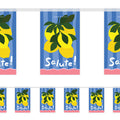 La Dolce Lemon Salute Paper Bunting Decoration - 2.4m