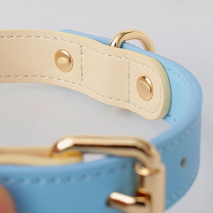Leather Dog Collar