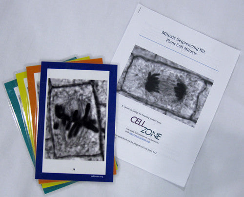 Mitosis Sequencing Kits
