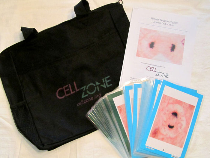 Mitosis Sequencing Kits