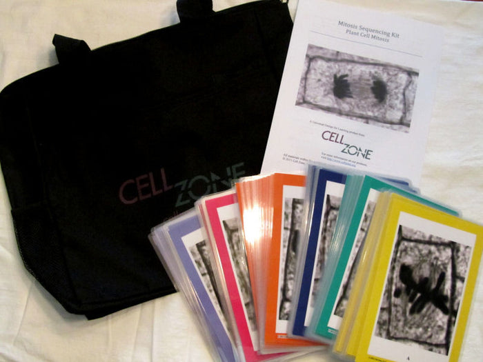 Mitosis Sequencing Kits