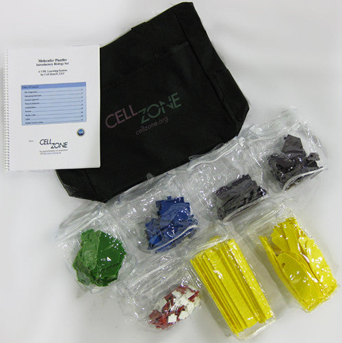 Each kit comes in a tote bag with 12 building blocks for each biological molecule, enough Hs and Os to assemble them, and a guidebook for learning.