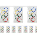 Olympic Rings Fabric Flag Bunting - 20 flags - 6m