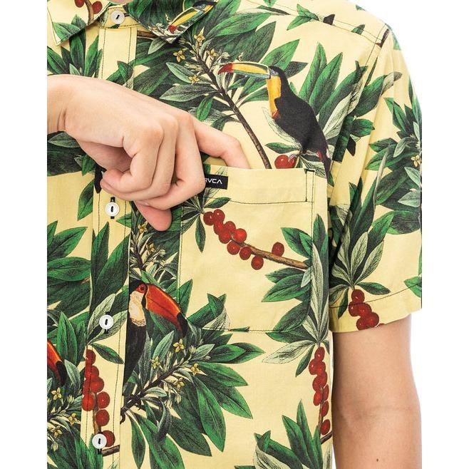Pandemonium Button Down
