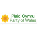 Plaid Cymru Party Banner - 1.2m