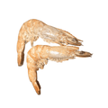Shrimply F-RAW-sted