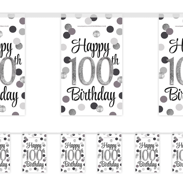 Silver Glitz 100th Birthday Paper Bunting - 2.4m