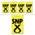 SNP Flag Interior Bunting - 2.4m