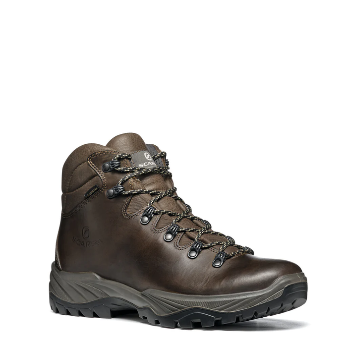 Terra GTX Mens Hiking Boot 2026