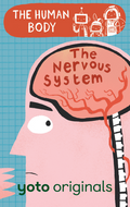 The Human Body: The Nervous System