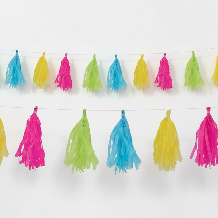 Tissue Tassel Garland Lifestyle Wall